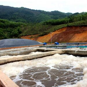 tư vấn – thiết kế – thi công trạm xử lý nước thải chăn nuôi trọn gói
