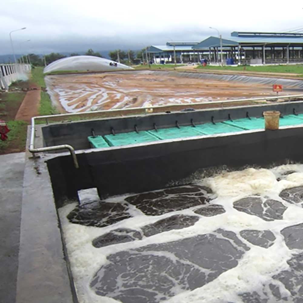 tư vấn – thiết kế – thi công trạm xử lý nước thải chăn nuôi trọn gói