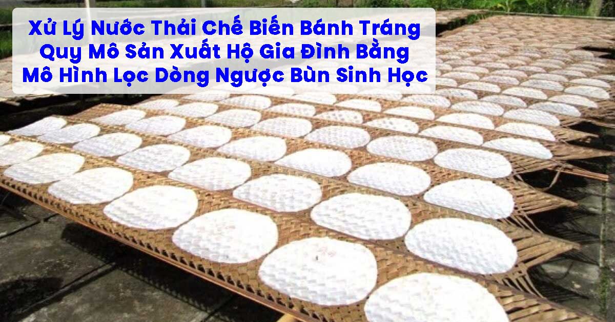 Nghiên Cứu Xử Lý Nước Thải Chế Biến Bánh Tráng Quy Mô Sản Xuất Hộ Gia Đình Bằng Mô Hình Lọc Dòng Ngược Bùn Sinh Học