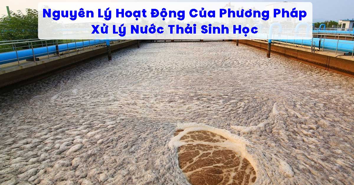 Nguyên Lý Hoạt Động Của Phương Pháp Xử Lý Nước Thải Sinh Học
