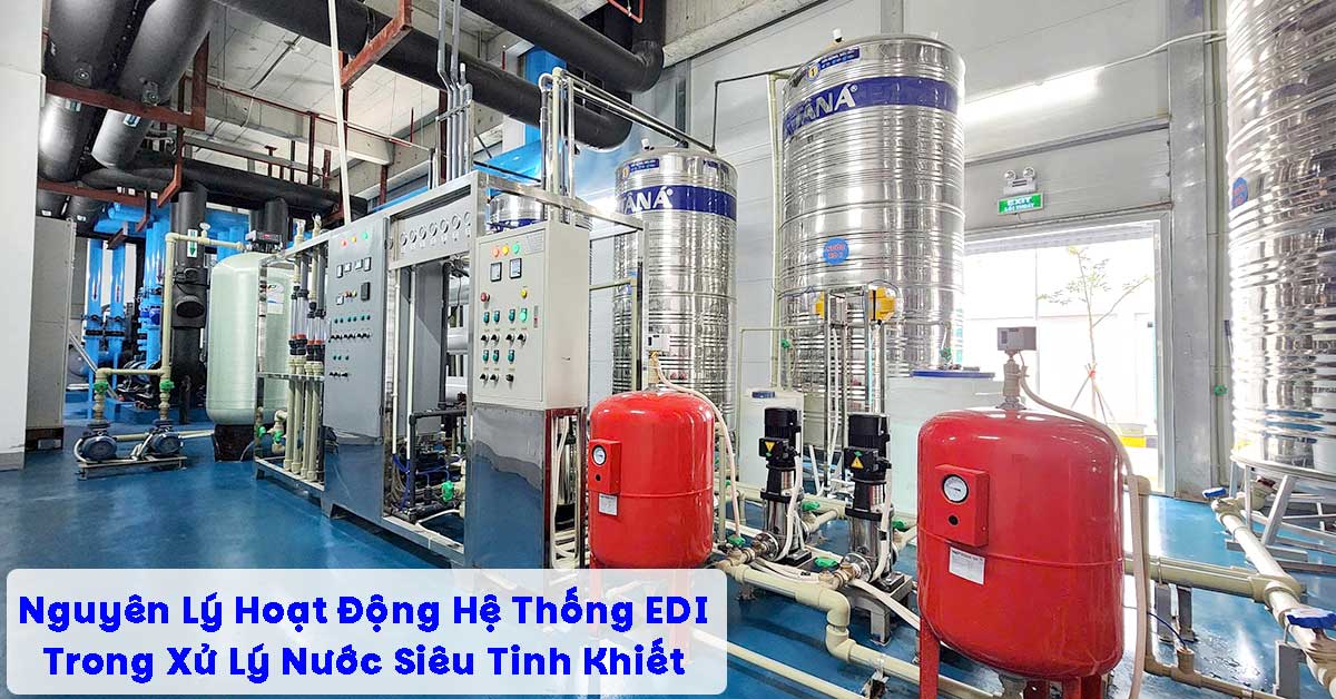Nguyên Lý Hoạt Động Hệ Thống EDI Trong Xử Lý Nước Siêu Tinh Khiết