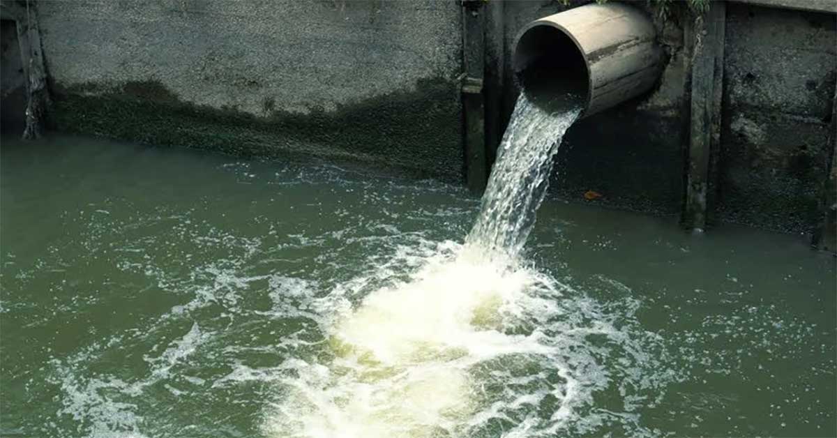 Nước thải phòng xét nghiệm thường chứa nhiều vi khuẩn gây bệnh