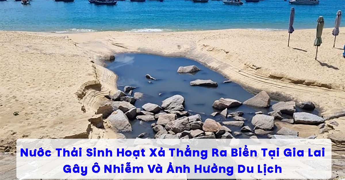 Nước Thải Sinh Hoạt Xả Thẳng Ra Biển Tại Gia Lai Gây Ô Nhiễm Và Ảnh Hưởng Du Lịch