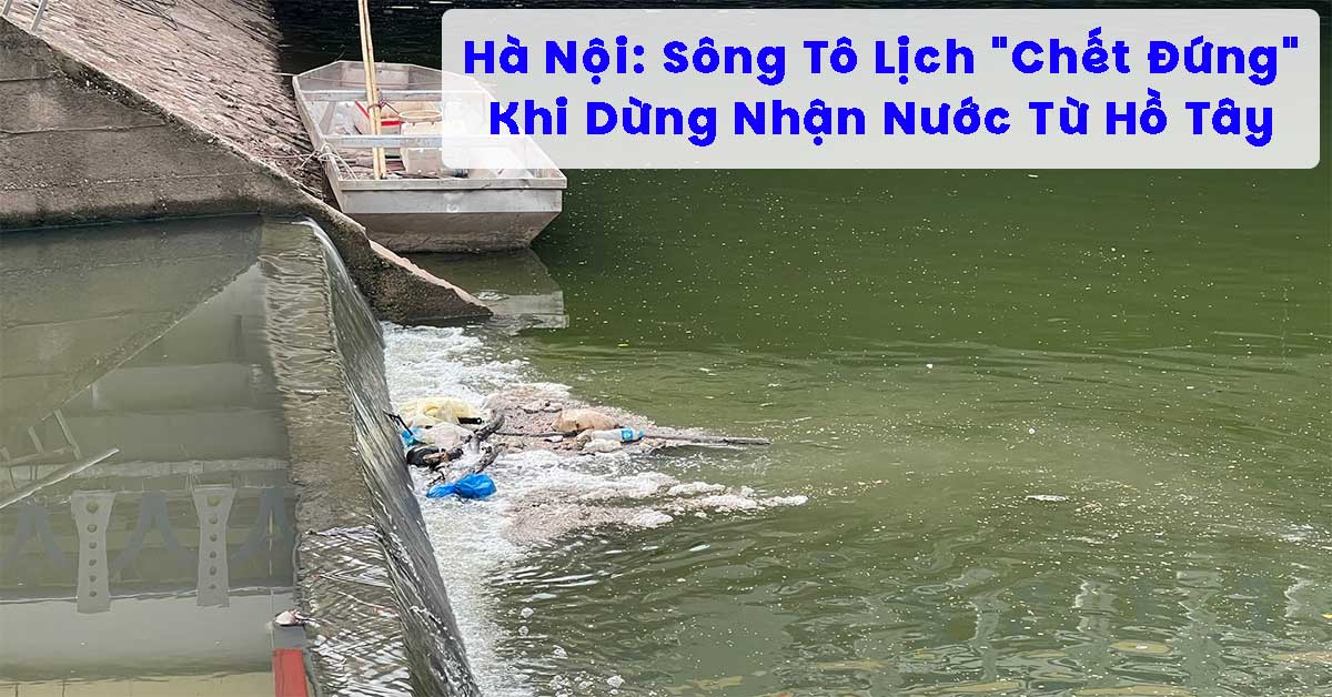 Hà Nội: Sông Tô Lịch "Chết Đứng" Khi Dừng Nhận Nước Từ Hồ Tây