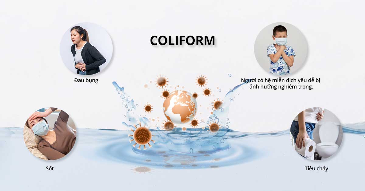Tác hại của nước sinh hoạt nhiễm coliform