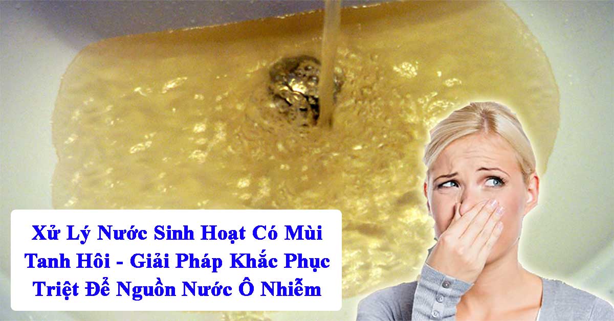 Xử Lý Nước Sinh Hoạt Có Mùi Tanh Hôi – Giải Pháp Khắc Phục Triệt Để Nguồn Nước Ô Nhiễm