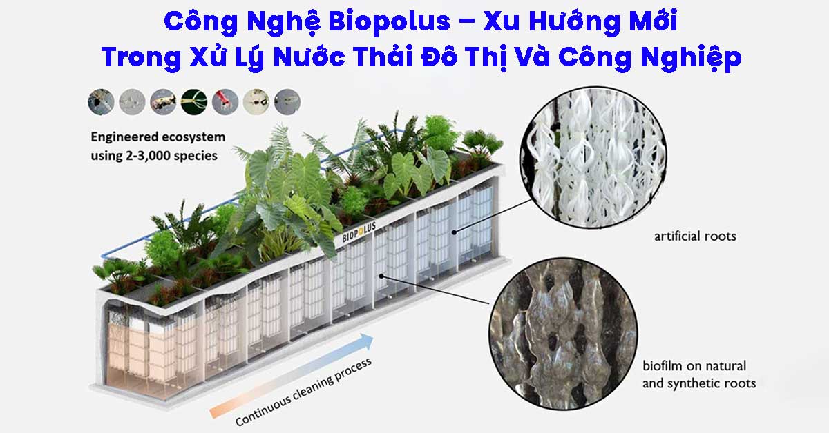 Công Nghệ Biopolus – Xu Hướng Mới Trong Xử Lý Nước Thải Đô Thị Và Công Nghiệp