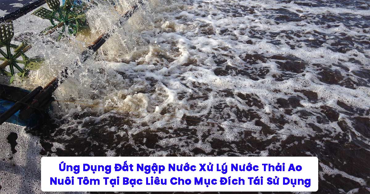 Ứng Dụng Đất Ngập Nước Xử Lý Nước Thải Ao Nuôi Tôm Tại Bạc Liêu Cho Mục Đích Tái Sử Dụng