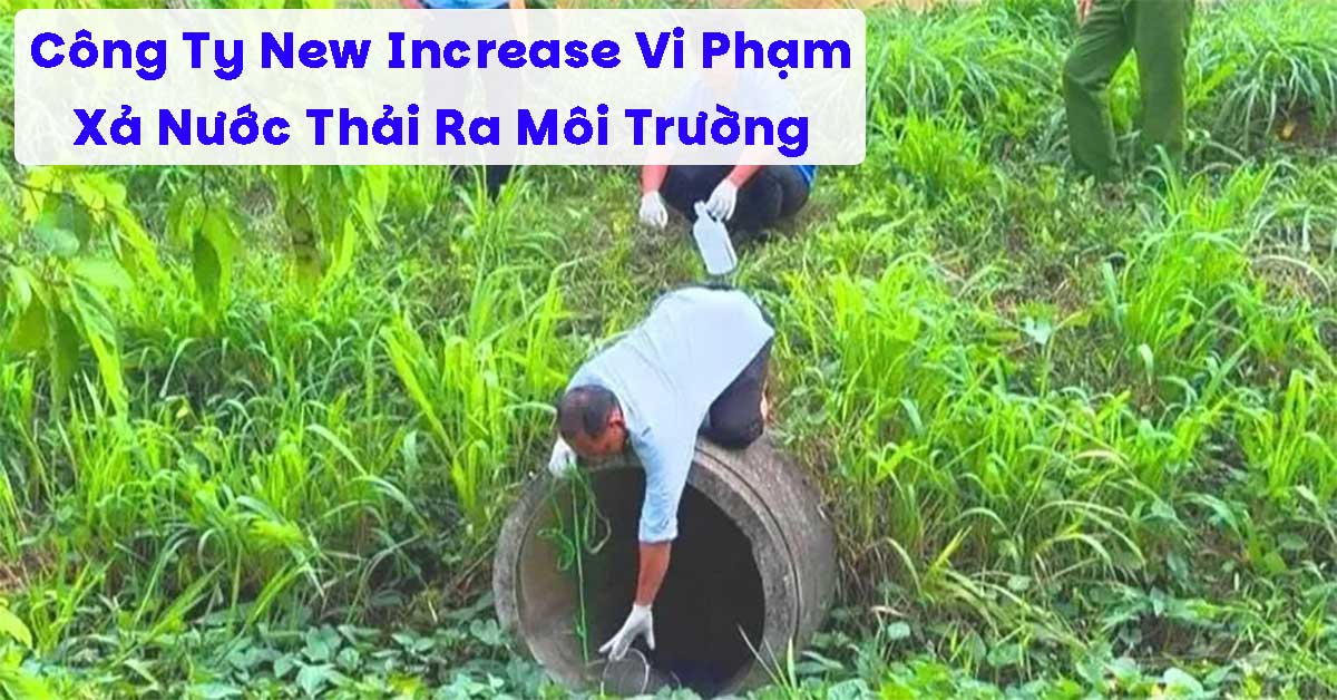 Công Ty New Increase Vi Phạm Xả Nước Thải Ra Môi Trường