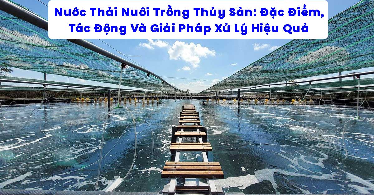Nước Thải Nuôi Trồng Thủy Sản: Đặc Điểm, Tác Động Và Giải Pháp Xử Lý Hiệu Quả