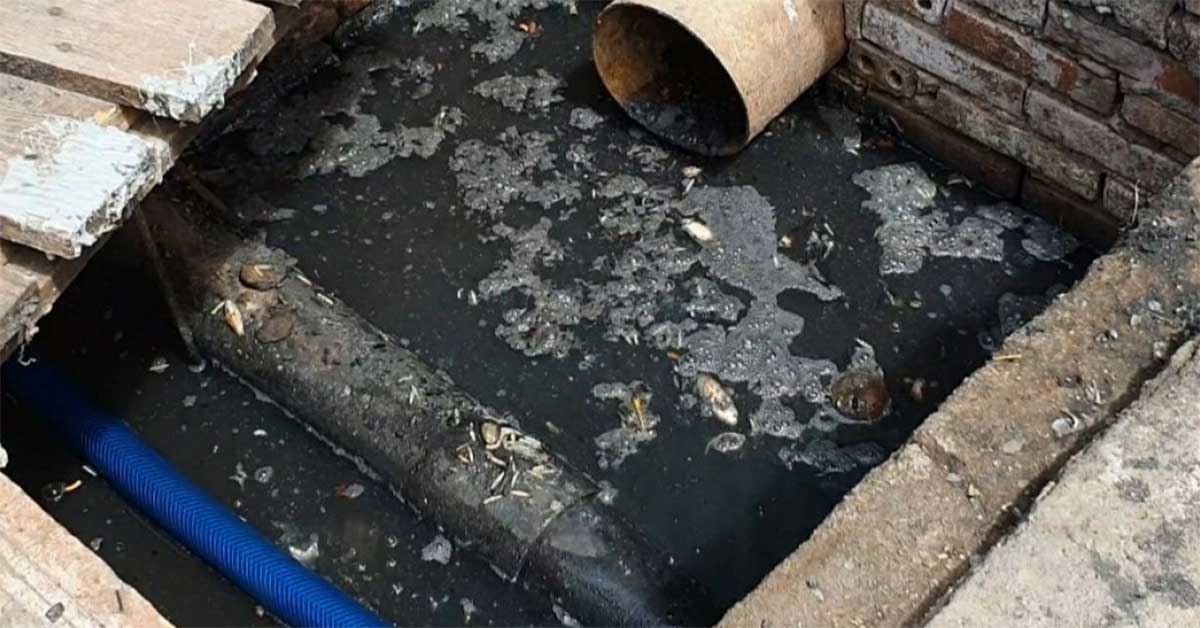Nước thải thủy sản chứa nhiều chất ô nhiễm