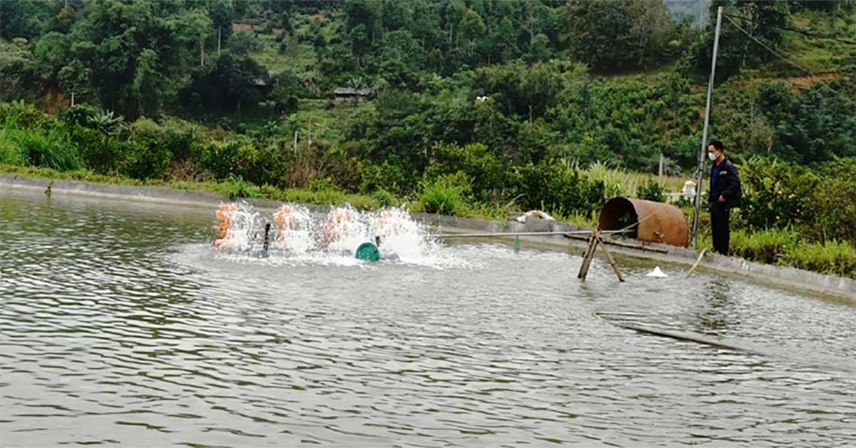 Nghị định 290/2025/NĐ-CP, hành vi vi phạm hành chính trong lĩnh vực tài nguyên nước