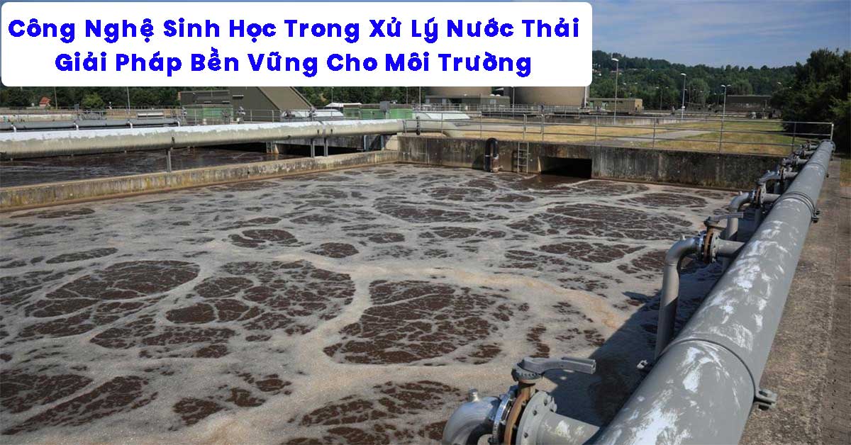 Công Nghệ Sinh Học Trong Xử Lý Nước Thải: Giải Pháp Bền Vững Cho Môi Trường