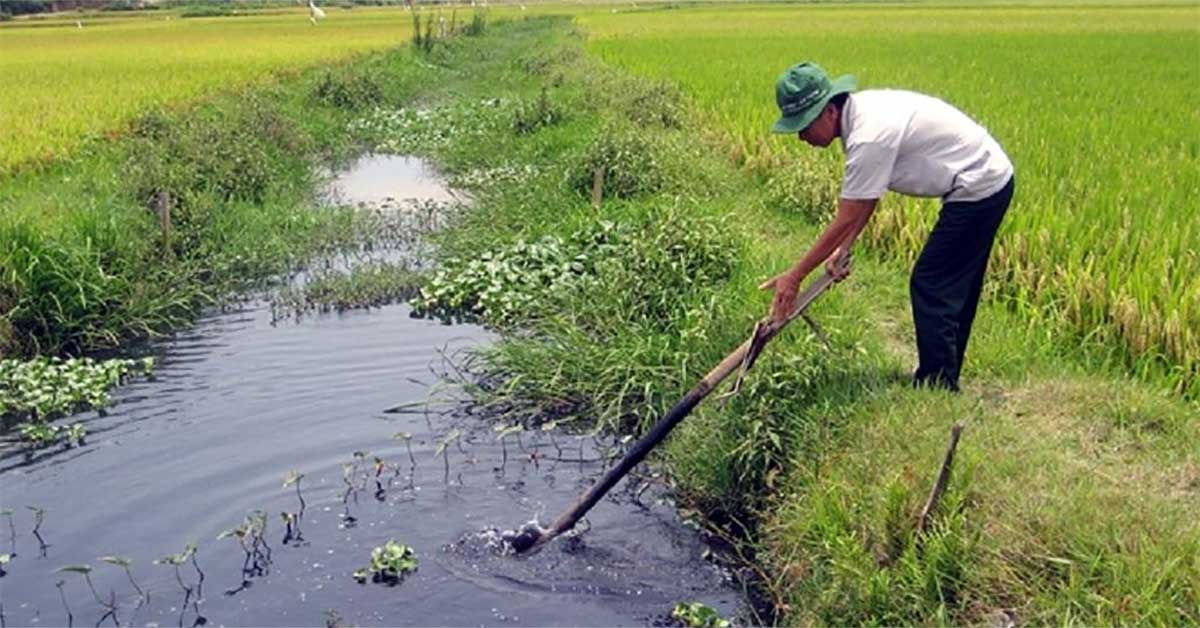 Nước thải sinh hoạt chưa xử lý gây ô nhiễm môi trường khu vực nông thôn