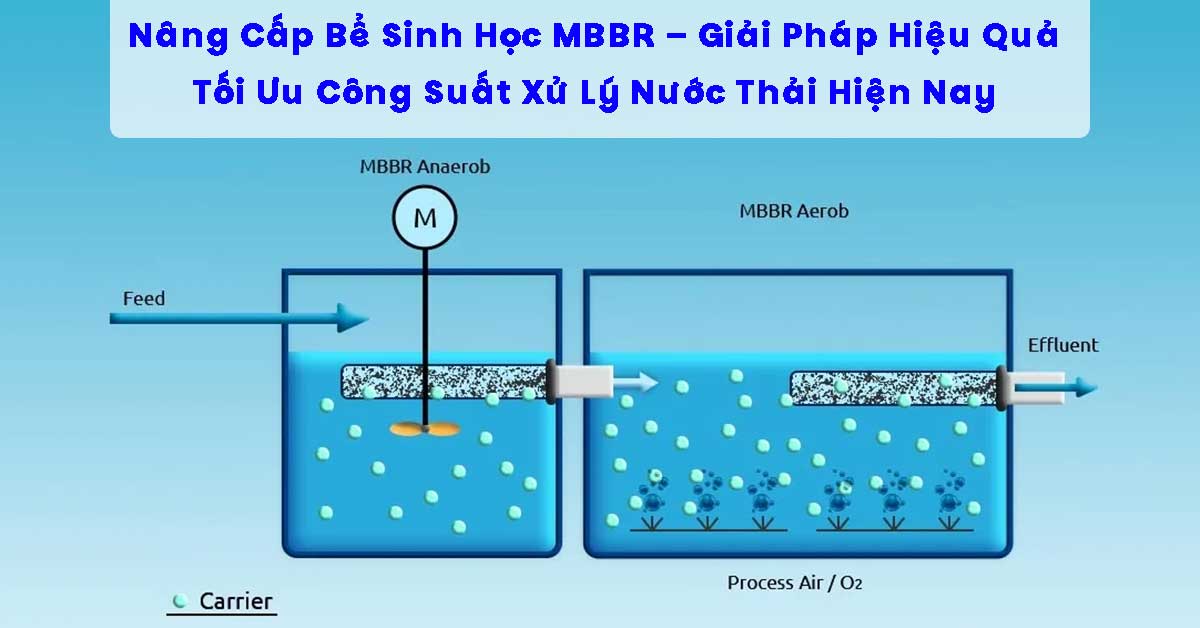 Nâng Cấp Bể Sinh Học MBBR – Giải Pháp Hiệu Quả Tối Ưu Công Suất Xử Lý Nước Thải Hiện Nay