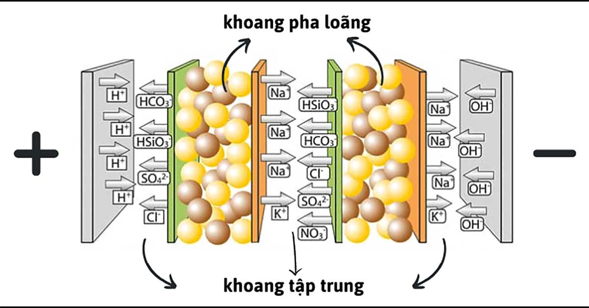 Nguyên lý hoạt động của thiết bị EDI