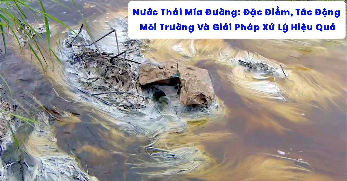 Nước Thải Mía Đường: Đặc Điểm, Tác Động Môi Trường Và Giải Pháp Xử Lý Hiệu Quả
