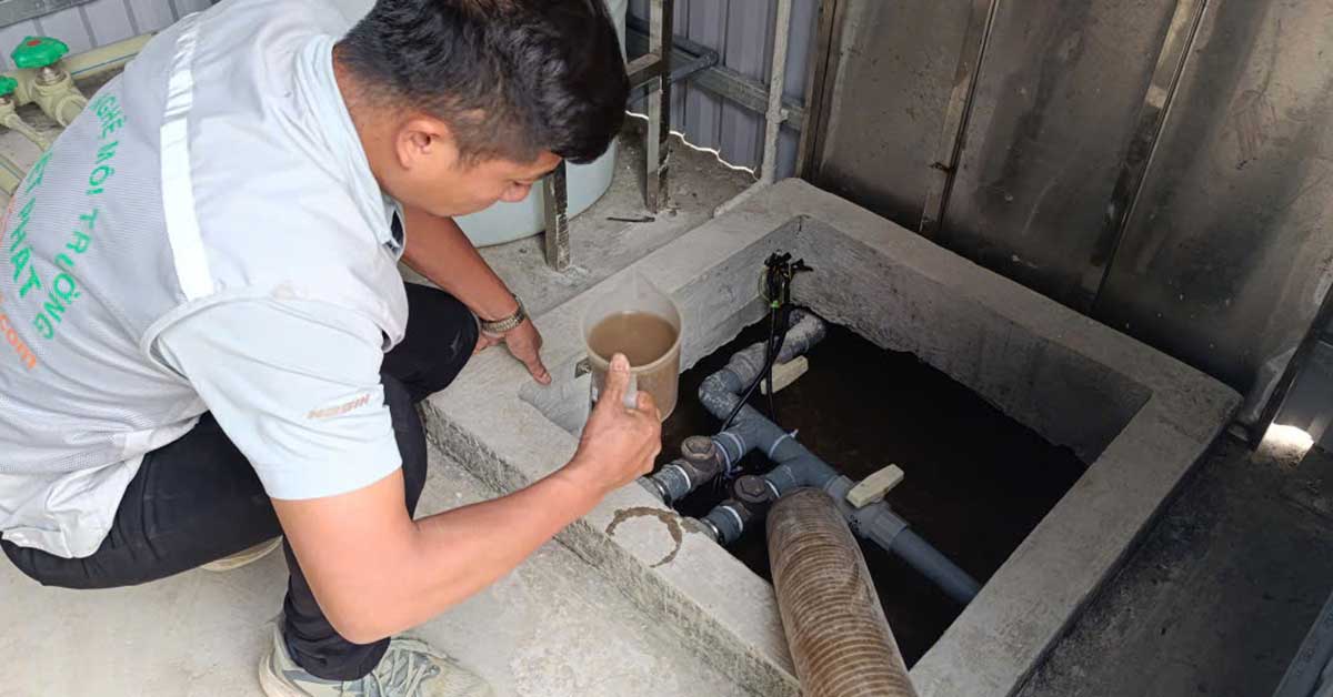 Việt Phát chuyên cung cấp bùn giống chất lượng cao