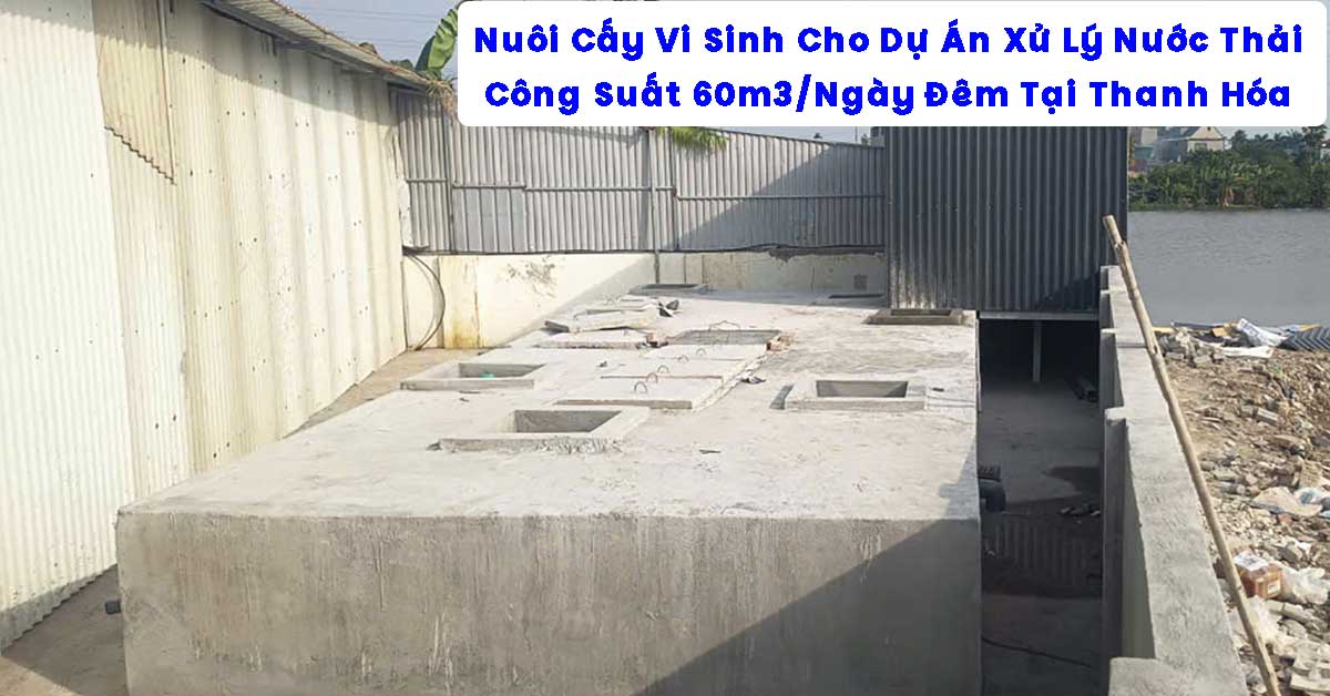 Nuôi Cấy Vi Sinh Cho Dự Án Xử Lý Nước Thải 60m3/Ngày Đêm Tại Thanh Hóa