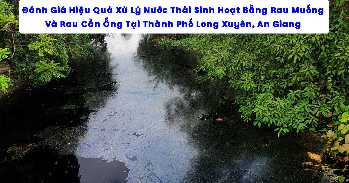 Đánh Giá Hiệu Quả Xử Lý Nước Thải Sinh Hoạt Bằng Rau Muống Và Rau Cần Ống Tại Thành Phố Long Xuyên, An Giang