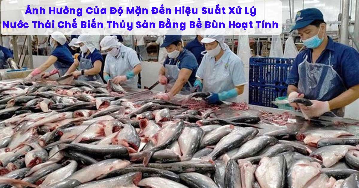 Ảnh Hưởng Của Độ Mặn Đến Hiệu Suất Xử Lý Nước Thải Chế Biến Thủy Sản Bằng Bể Bùn Hoạt Tính