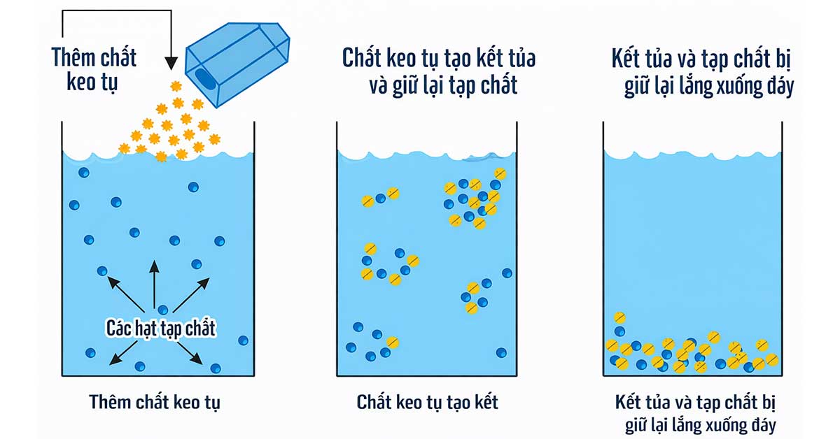 Công nghệ keo tụ - tạo bông