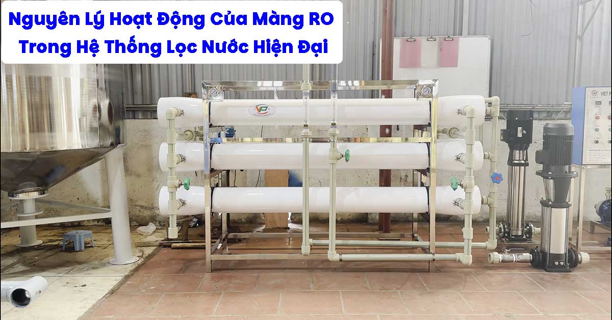 Nguyên Lý Hoạt Động Của Màng RO Trong Hệ Thống Lọc Nước Hiện Đại