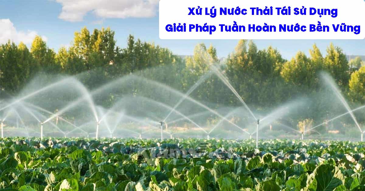 Xử Lý Nước Thải Tái Sử Dụng: Giải Pháp Tuần Hoàn Nước Bền Vững