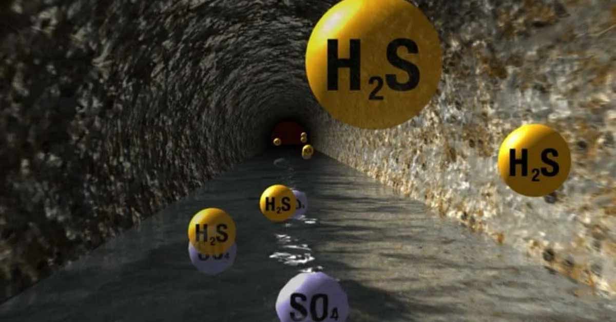 Khí H₂S gây mùi trứng thối