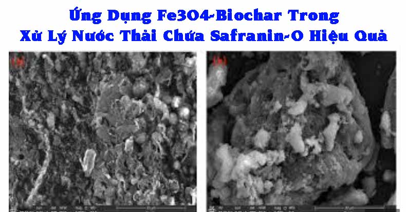 Ứng Dụng Fe3O4-Biochar Trong Xử Lý Nước Thải Chứa Safranin-O Hiệu Quả