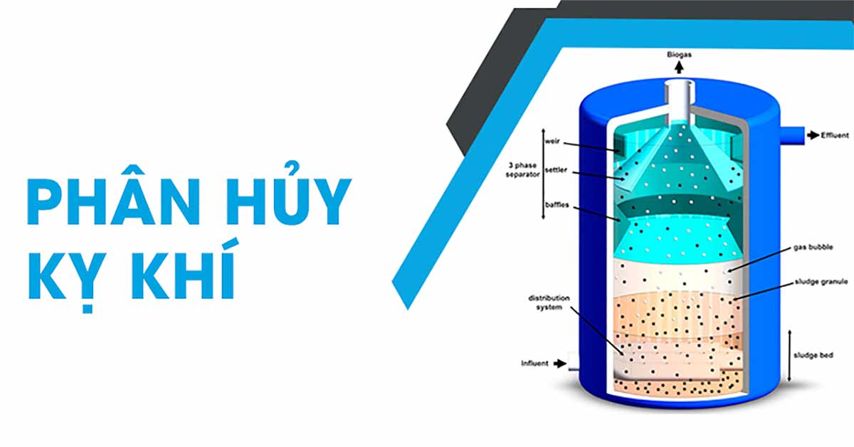 Phân Hủy Sinh Học Kỵ Khí Là Gì? Cơ Chế Hoạt Động Và Ứng Dụng Trong Xử Lý Nước Thải