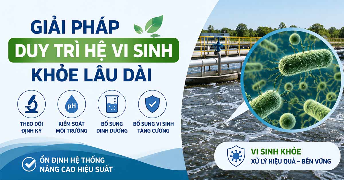 Giải pháp duy trì hệ vi sinh khỏe lâu dài