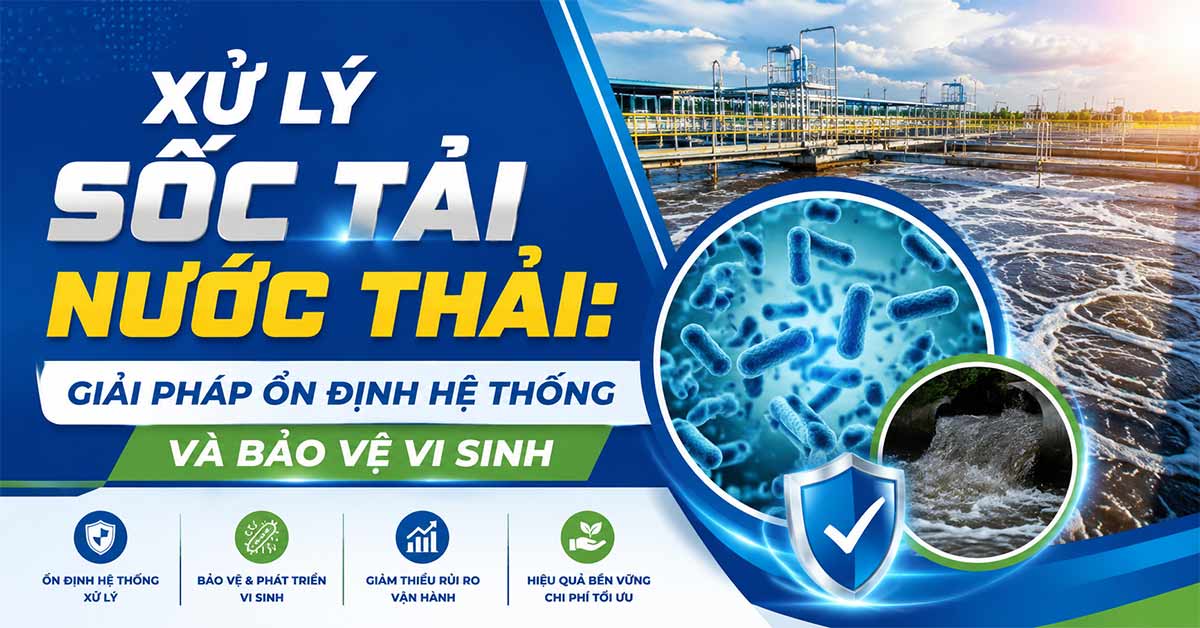 Xử Lý Sốc Tải Nước Thải: Giải Pháp Ổn Định Hệ Thống Và Bảo Vệ Vi Sinh
