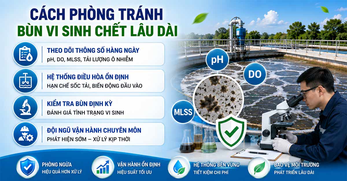 Cách phòng tránh bùn vi sinh chết lâu dài