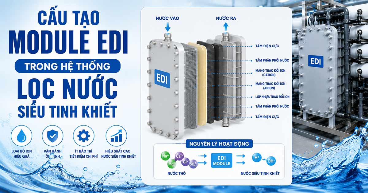 Cấu Tạo Module EDI Trong Hệ Thống Lọc Nước Siêu Tinh Khiết