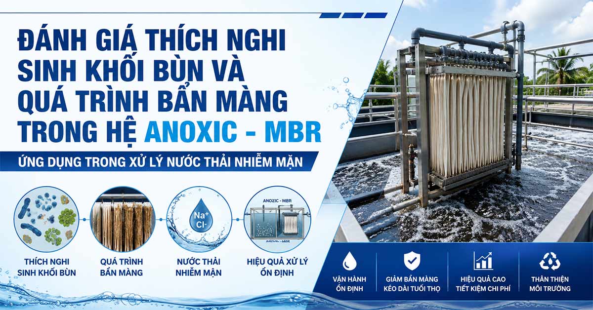 Đánh Giá Thích Nghi Sinh Khối Bùn Và Quá Trình Bẩn Màng Trong Hệ Anoxic - MBR Ứng Dụng Trong Xử Lý Nước Thải Nhiễm Mặn