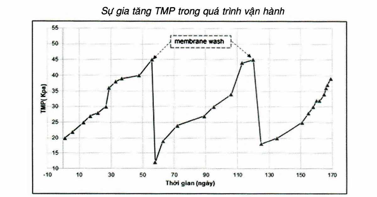 TMP tăng dần theo thời gian vận hành