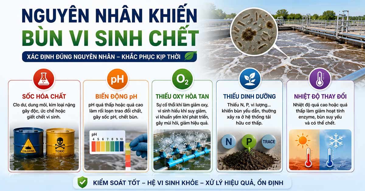 Nguyên nhân khiến bùn vi sinh chết trong hệ thống xử lý nước thải