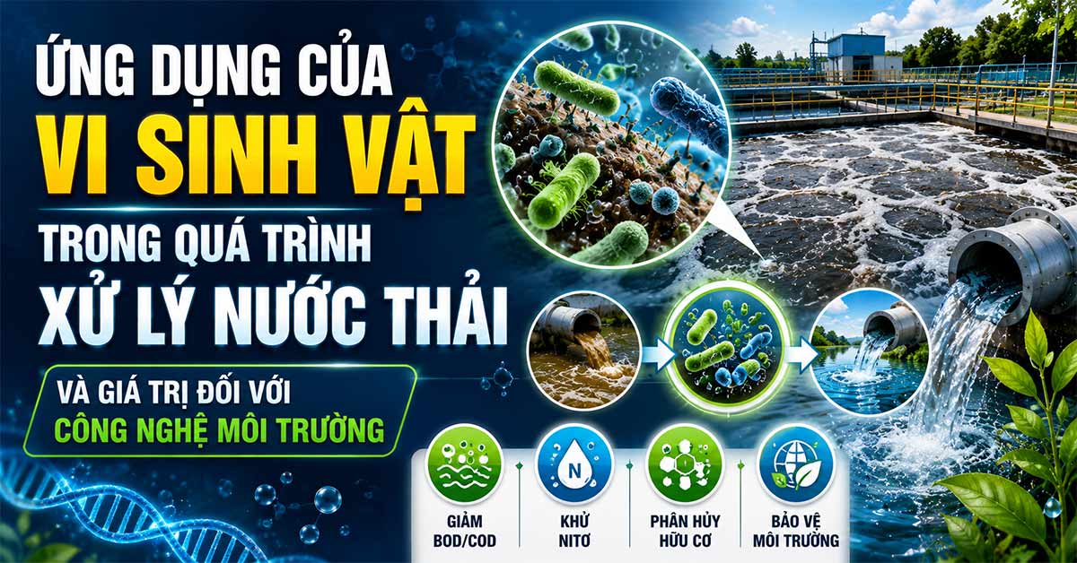 Ứng Dụng Vi Sinh Vật Trong Xử Lý Nước Thải Và Giá Trị Đối Với Công Nghệ Môi Trường
