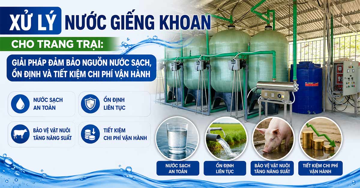 Xử Lý Nước Giếng Khoan Cho Trang Trại: Giải Pháp Đảm Bảo Nguồn Nước Sạch, Ổn Định Và Tiết Kiệm Chi Phí Vận Hành