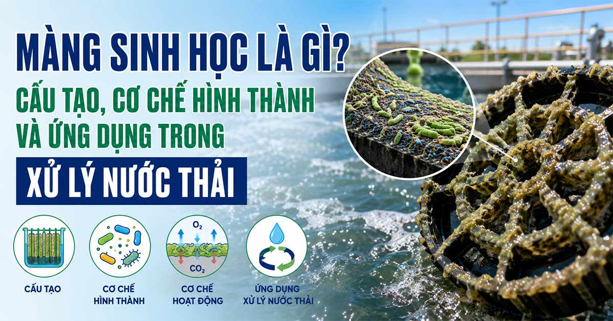 Màng Sinh Học Là Gì? Cấu Tạo, Cơ Chế Hình Thành Và Ứng Dụng Trong Xử Lý Nước Thải