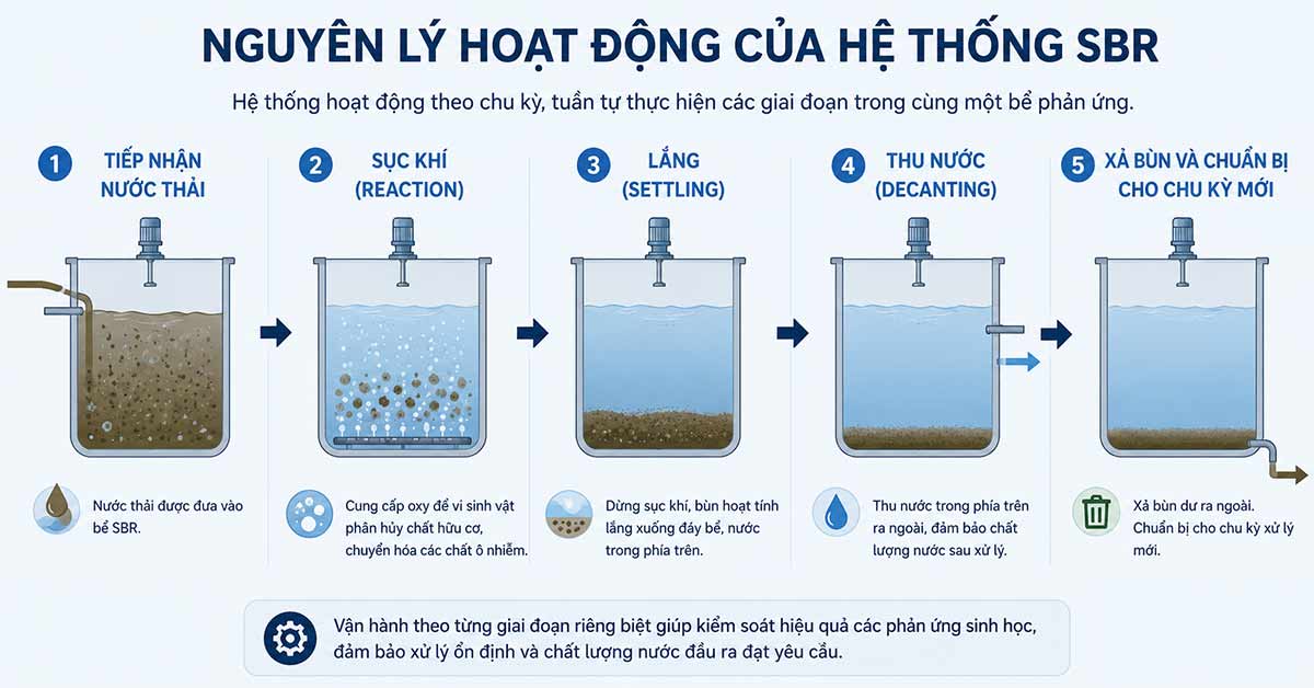 Nguyên lý hoạt động của hệ thống SBR
