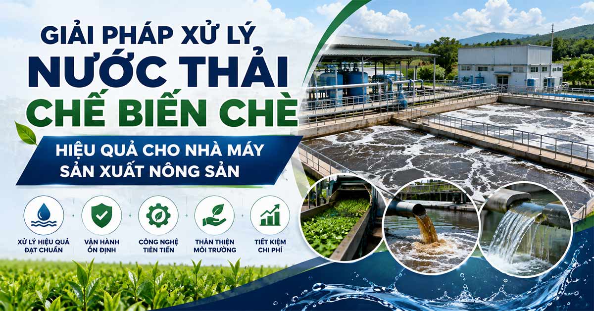 Giải Pháp Xử Lý Nước Thải Chế Biến Chè Hiệu Quả Cho Nhà Máy Sản Xuất Nông Sản