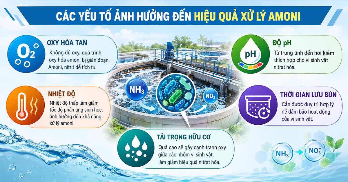 Các yếu tố ảnh hưởng đến hiệu quả xử lý amoni