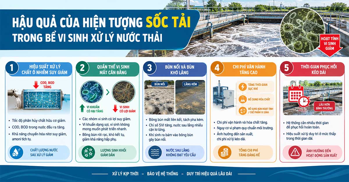 Hậu quả của hiện tượng sốc tải trong bể vi sinh xử lý nước thải