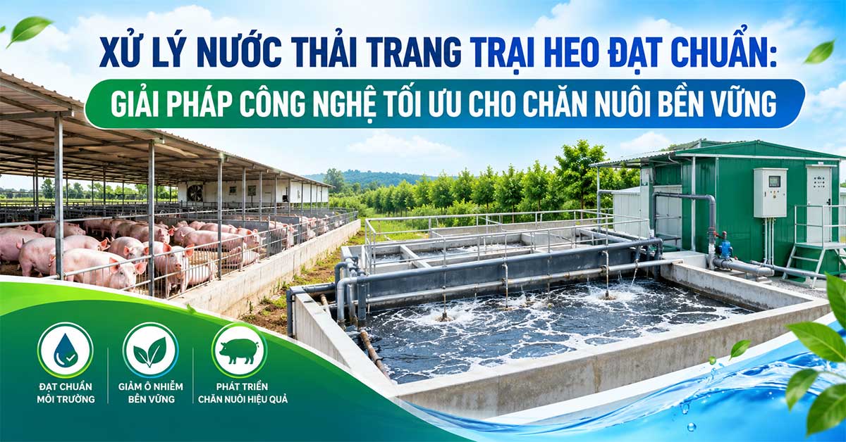 Xử Lý Nước Thải Trang Trại Heo Đạt Chuẩn: Giải Pháp Công Nghệ Tối Ưu Cho Chăn Nuôi Bền Vững