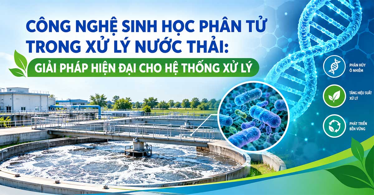 Công Nghệ Sinh Học Phân Tử Trong Xử Lý Nước Thải: Giải Pháp Hiện Đại Cho Hệ Thống Xử Lý