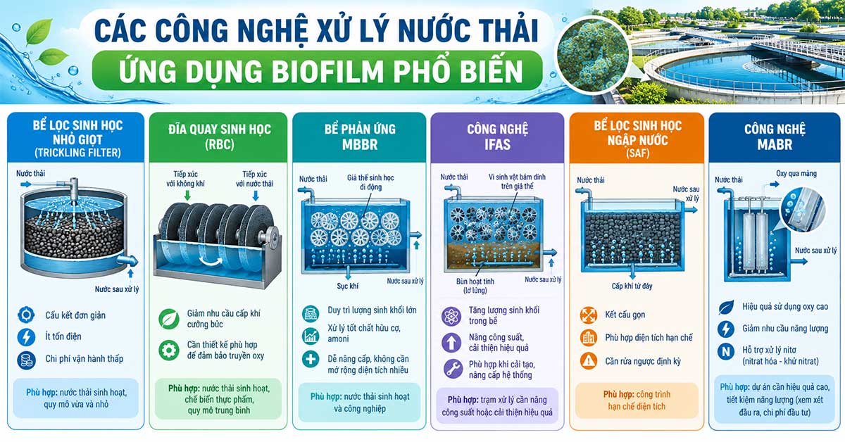 Các công nghệ xử lý nước thải ứng dụng biofilm phổ biến