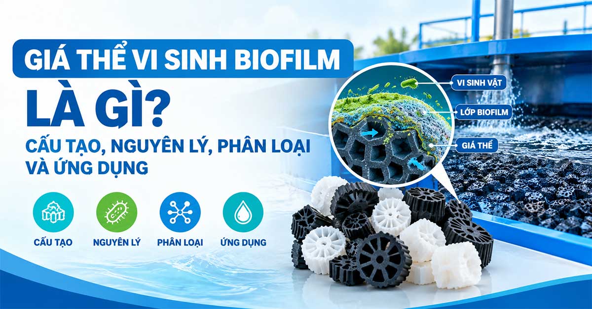 Giá Thể Vi Sinh Biofilm Là Gì? Cấu Tạo, Nguyên Lý, Phân Loại Và Ứng Dụng