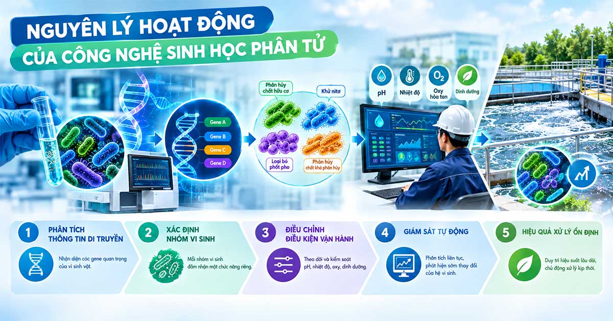 Nguyên lý hoạt động của công nghệ sinh học phân tử